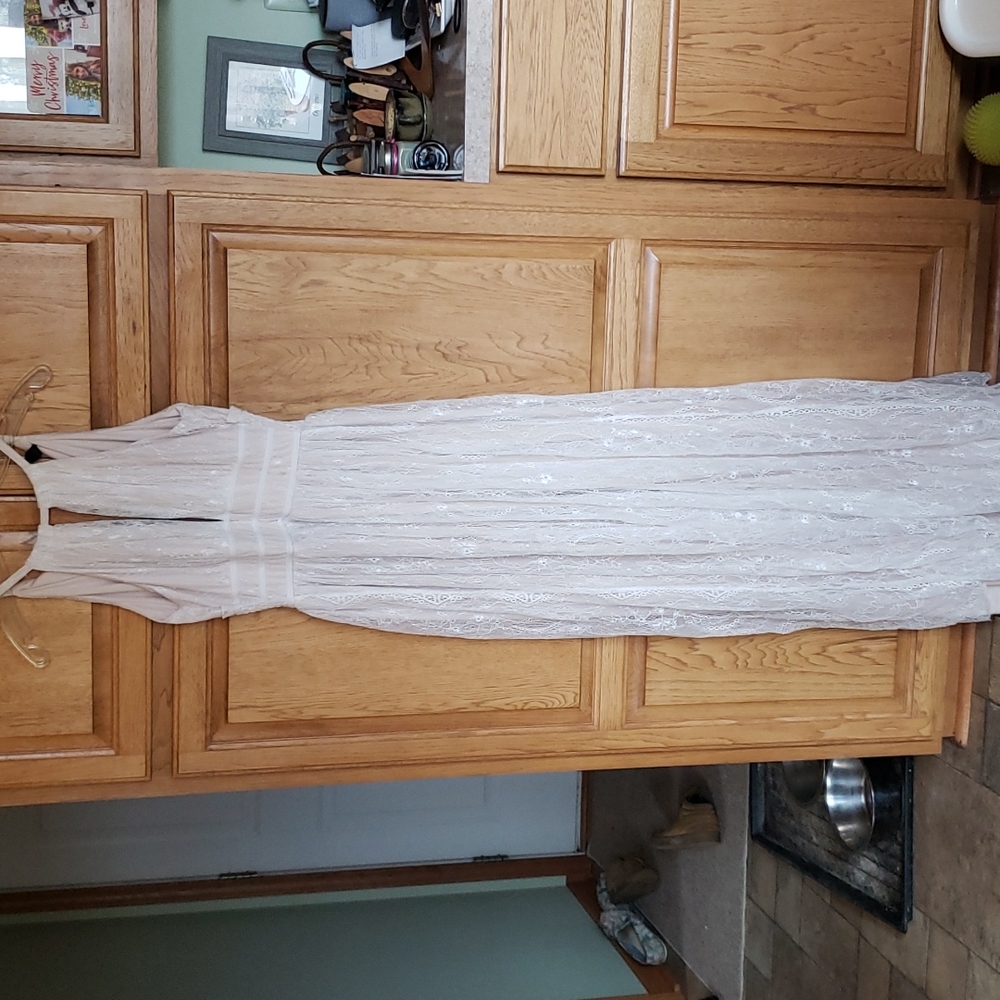 Windsor Off White Beige Cream Lace Dress